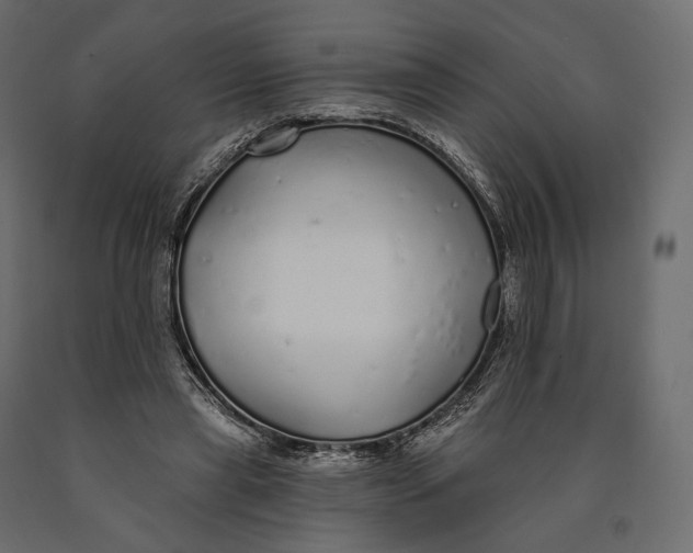 X0000090460445200708031245