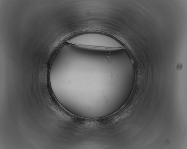 X0000090460446200708031245