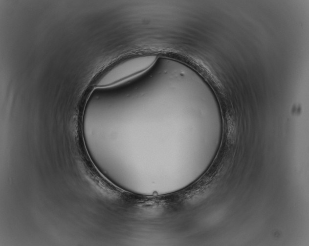 X0000090460447200708031245