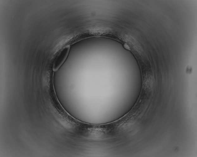 X0000090460448200708031245