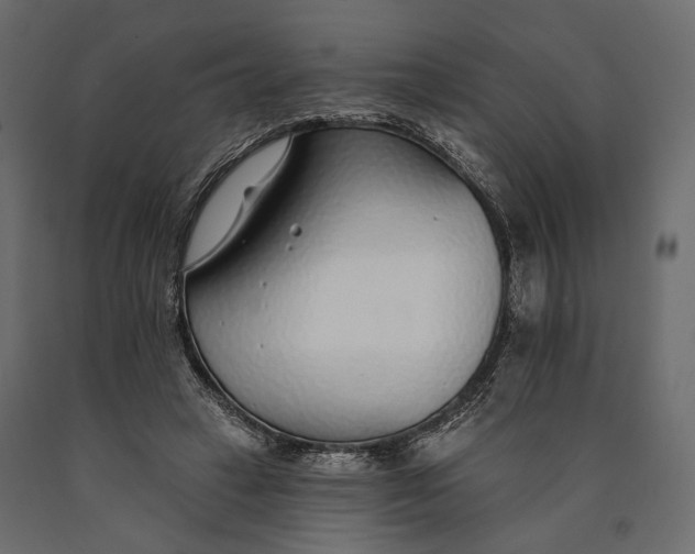 X0000090460449200708031245