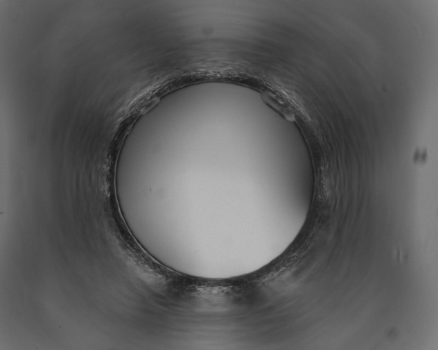 X0000090460450200708031245