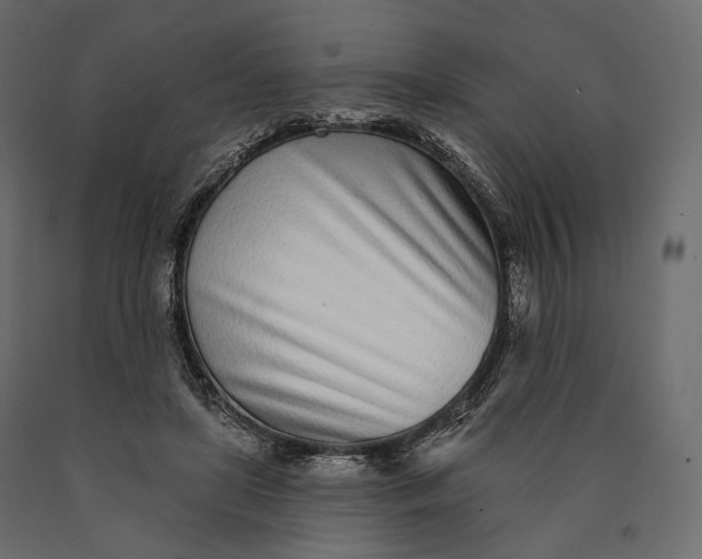 X0000090460451200708031245