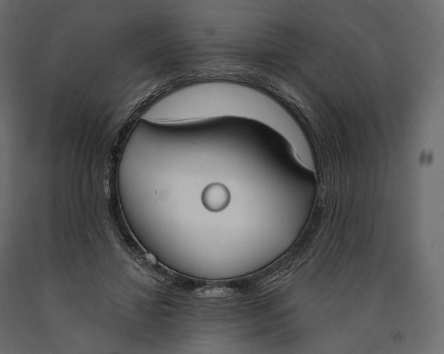 X0000090460452200708031245