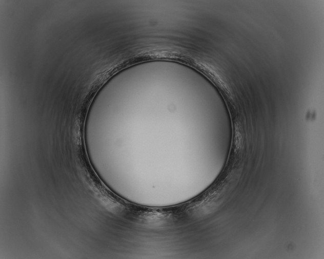 X0000090460453200708031245
