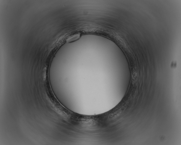 X0000090460454200708031245