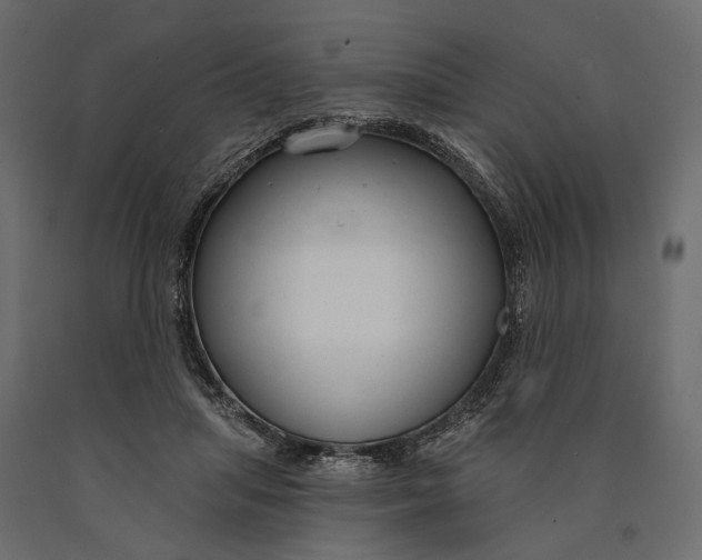 X0000090460455200708031245