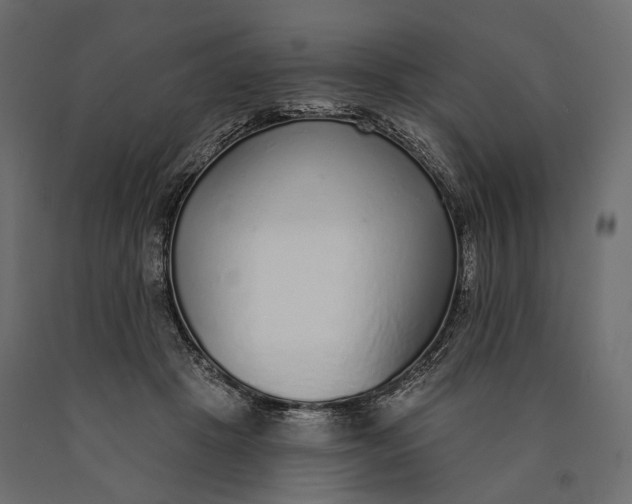 X0000090460457200708031245