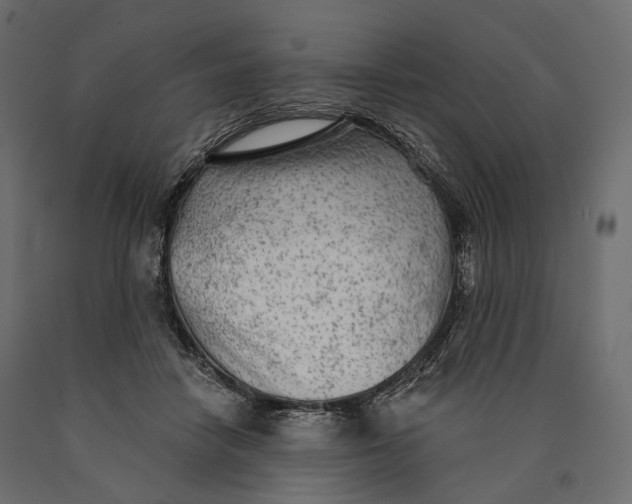 X0000090460458200708031245