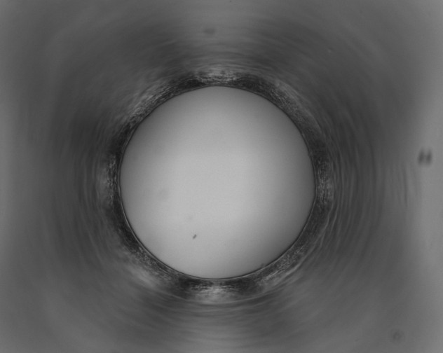 X0000090460460200708031245