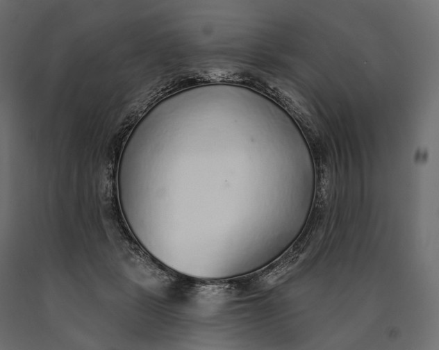 X0000090460461200708031245