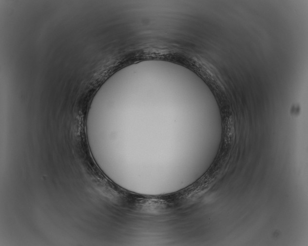 X0000090460463200708031245
