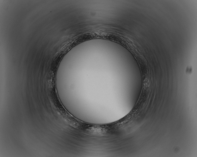 X0000090460464200708031245