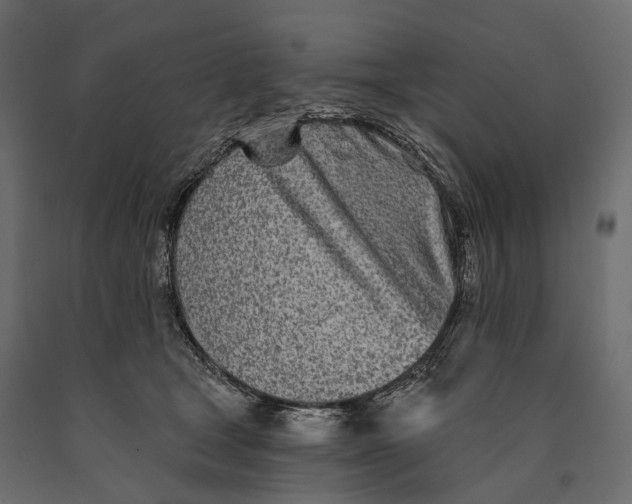X0000090460465200708031245