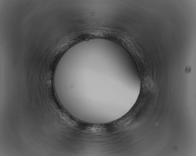 X0000090460466200708031245
