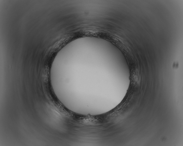 X0000090460468200708031245