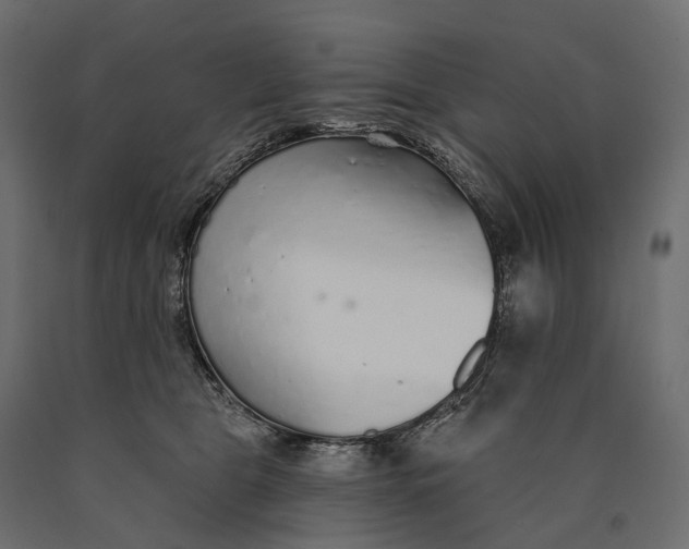X0000090460469200708031245