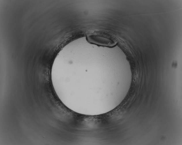X0000090460470200708031245