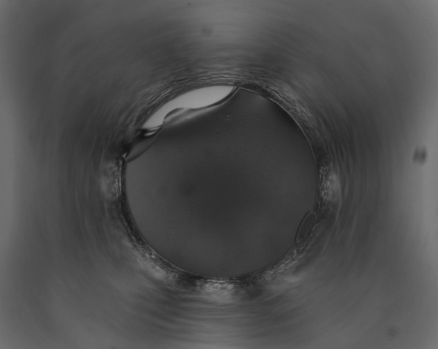 X0000090460471200708031245
