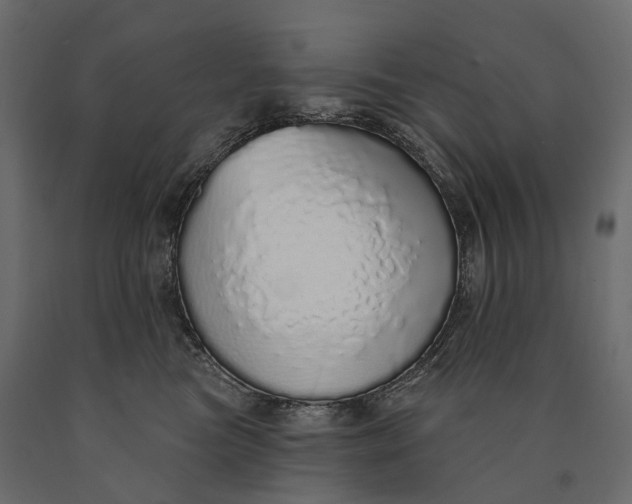 X0000090460473200708031245