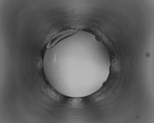 X0000090460474200708031245