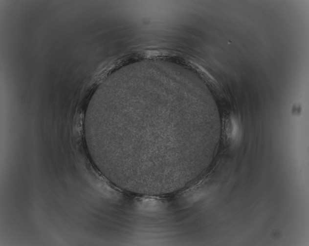 X0000090460475200708031245