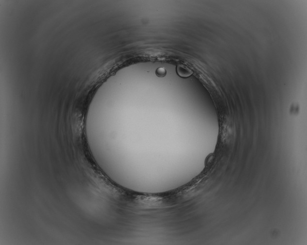 X0000090460476200708031245