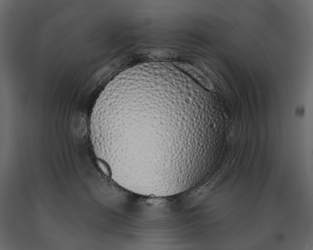 X0000090460478200708031245