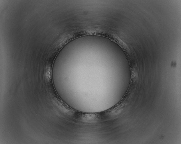 X0000090460479200708031245
