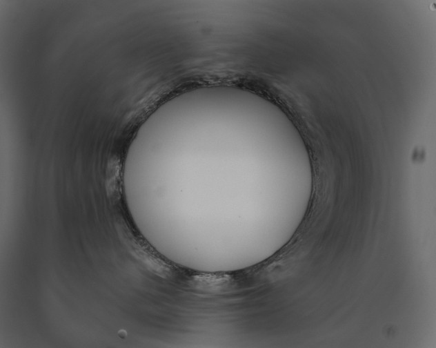 X0000090460480200708031245