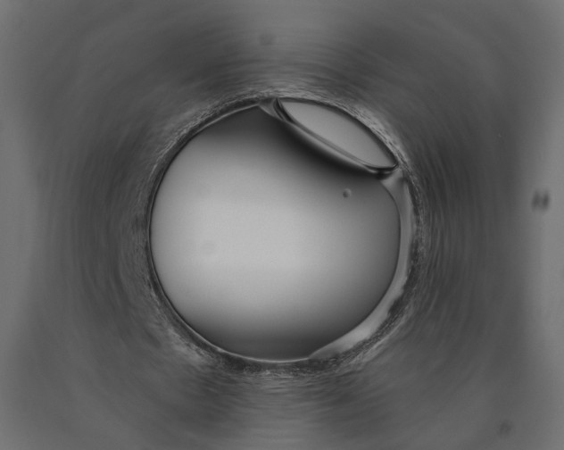 X0000090460481200708031245