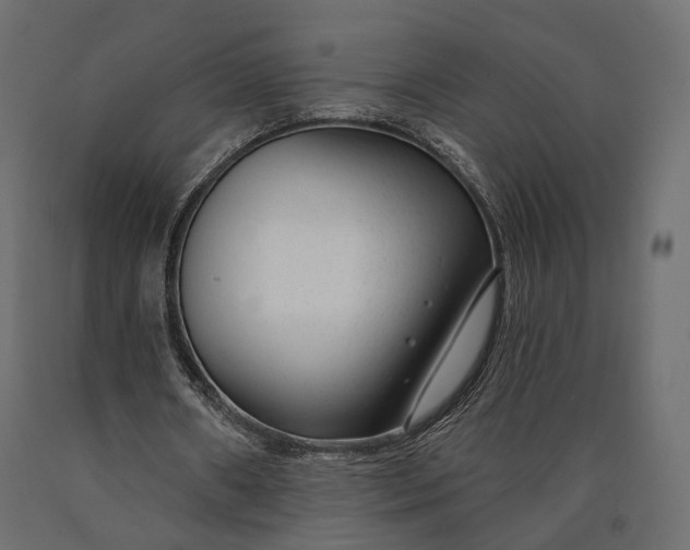 X0000090460482200708031245