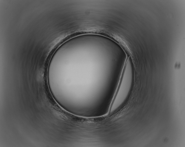 X0000090460483200708031245