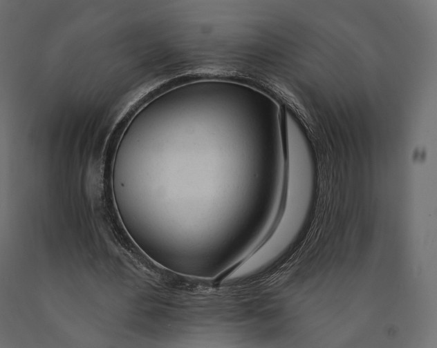 X0000090460484200708031245