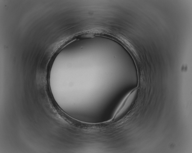 X0000090460485200708031245