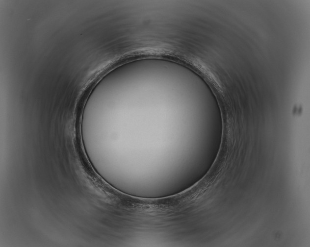 X0000090460486200708031245