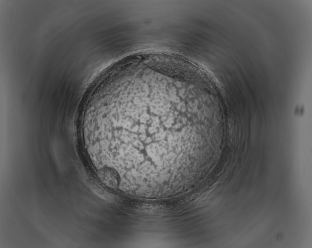X0000090460487200708031245
