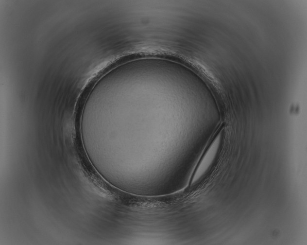 X0000090460488200708031245