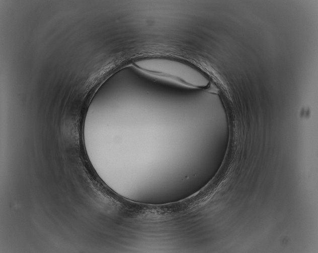 X0000090460489200708031245