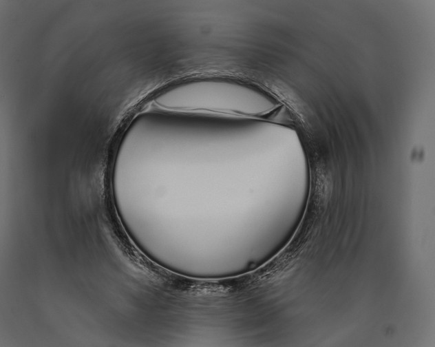 X0000090460491200708031245