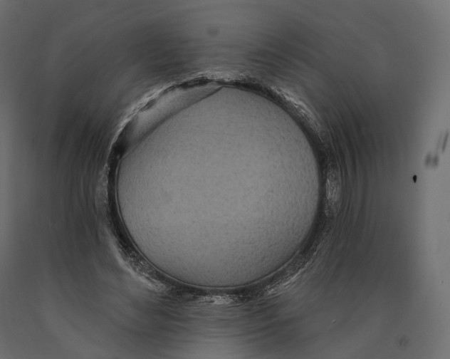 X0000090460492200708031245
