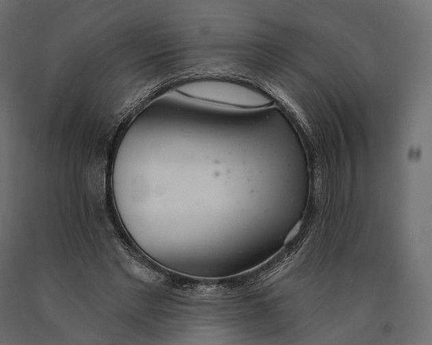 X0000090460493200708031245