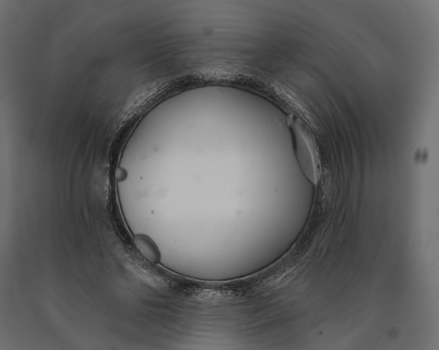 X0000090460494200708031245