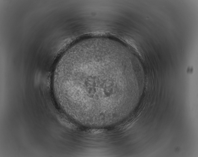 X0000090460495200708031245