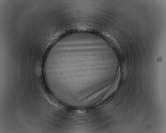 X0000090460496200708031245