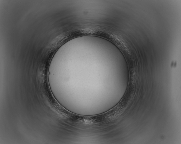 X0000090460498200708031244