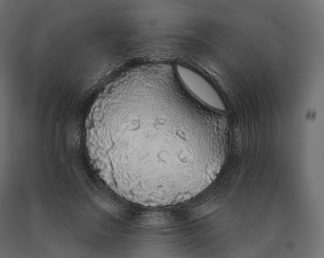 X0000090460499200708031244