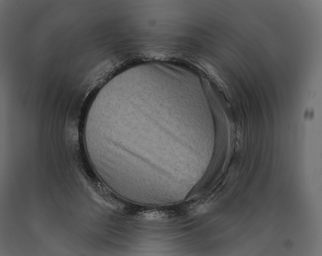 X0000090460500200708031244