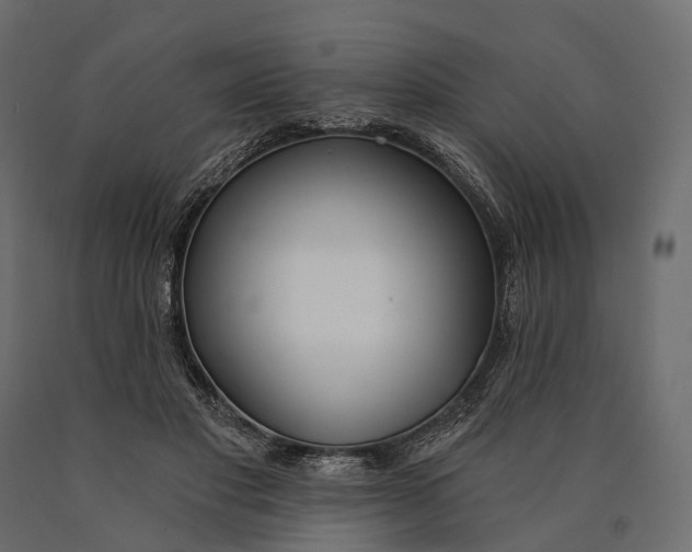 X0000090460501200708031244
