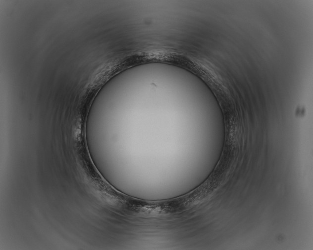 X0000090460502200708031244